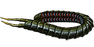 Reward: Ryslatha's Coil