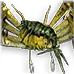 Craicic Savage Crab