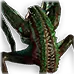 Craicic Maw