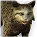 Farric Lynx Alpha