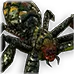 Fenumal Widow