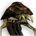 Saqawine Blood Viper