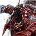 Craiceann, First of the Deep