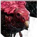 Saqawine Vulture